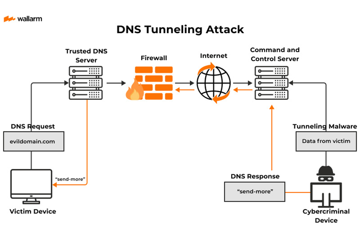DNS Tunneling angrep: Smugle data gjennom nettets adressebok.

